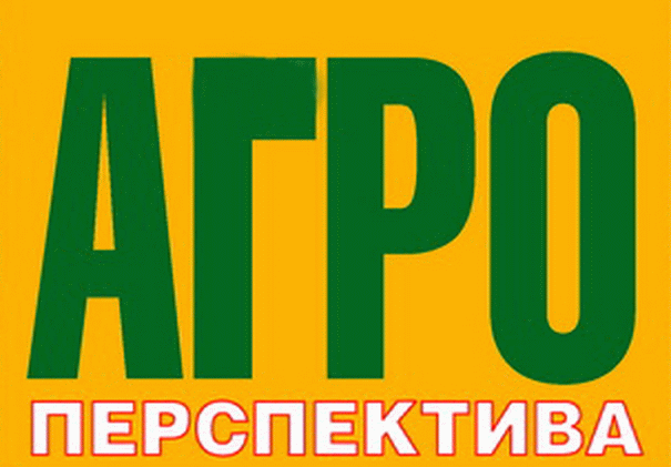 Вартість продовольчої пшениці зросла через незначне укріплення експорту.