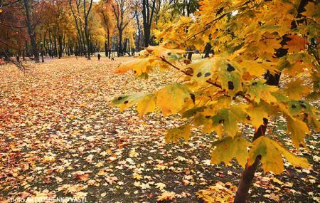 В Україні на кілька днів очікується потепління. Метеоролог поділилася своїми прогнозами щодо погодних умов.