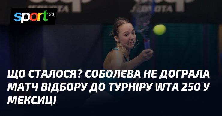 Що трапилося? Соболєва не завершила свій матч кваліфікації на турнірі WTA 250 у Мексиці.