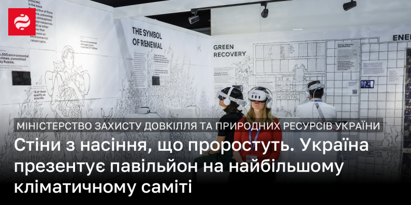 Стіни з насіння, готові до проростання. Україна представляє свій павільйон на найзначнішому кліматичному саміті.